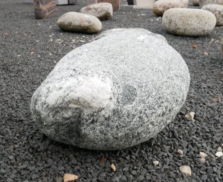  Vorschaubild FI130-35870