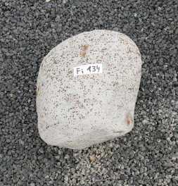  Vorschaubild FI134-35874