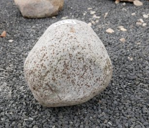  Vorschaubild FI134-35874