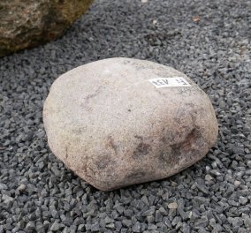  Vorschaubild FI137-35877