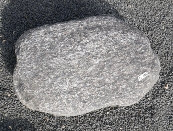  Vorschaubild FI156-35896