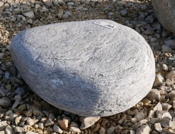  Vorschaubild FI173-35942