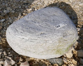  Vorschaubild FI173-35942