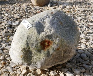  Vorschaubild FI174-35943