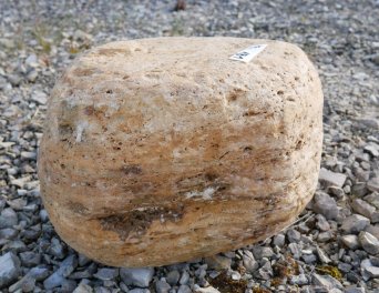  Vorschaubild FI181-35950