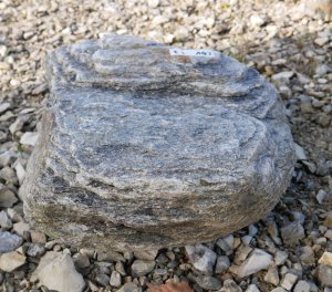  Vorschaubild FI182-35951