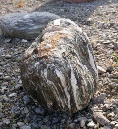  Vorschaubild FI184-35953