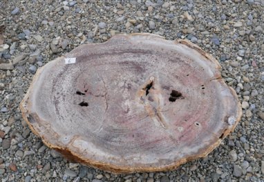  Vorschaubild G060-34228