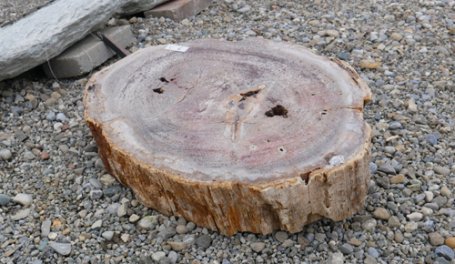  Vorschaubild G060-34228