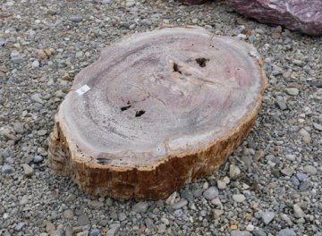  Vorschaubild G060-34228