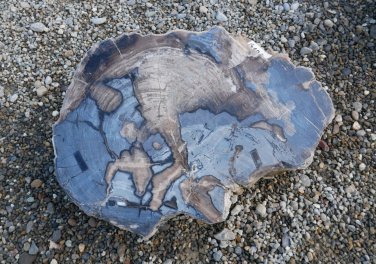  Vorschaubild G102-34618