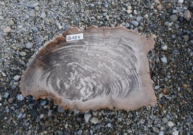  Vorschaubild G104-34616