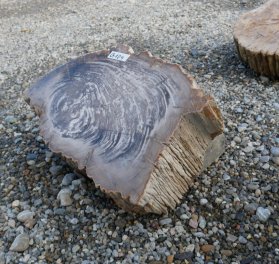  Vorschaubild G104-34616