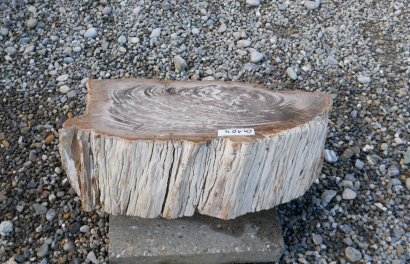  Vorschaubild G104-34616