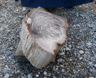  Vorschaubild G104-34616