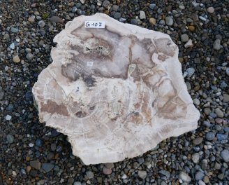  Vorschaubild G107-34613