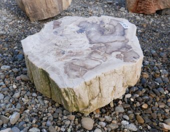  Vorschaubild G107-34613