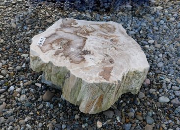  Vorschaubild G107-34613