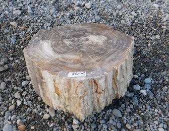  Vorschaubild G108-34612