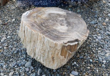  Vorschaubild G108-34612