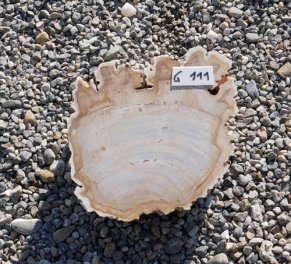  Vorschaubild G111-33606