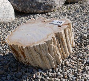  Vorschaubild G111-33606