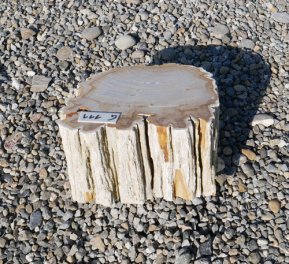  Vorschaubild G111-33606