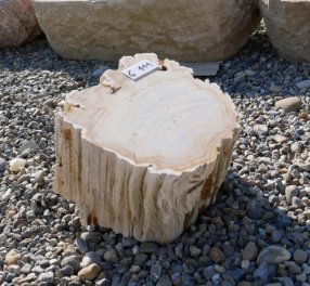  Vorschaubild G111-33606