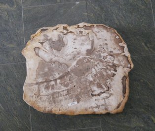  Vorschaubild G115-32896