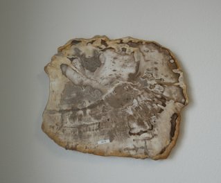  Vorschaubild G115-32896