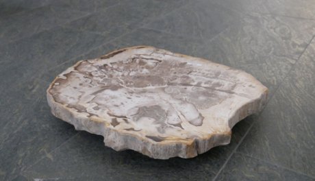  Vorschaubild G115-32896