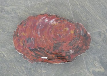  Vorschaubild G119-32898