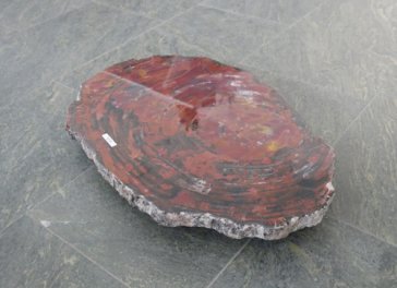  Vorschaubild G119-32898