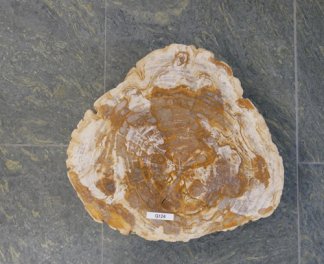  Vorschaubild G124-32901