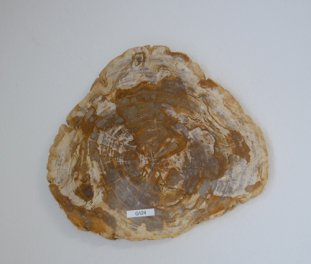  Vorschaubild G124-32901