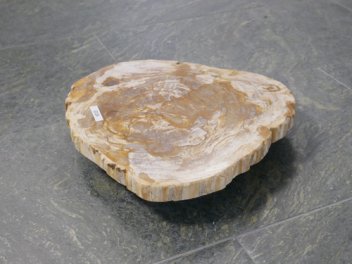  Vorschaubild G124-32901