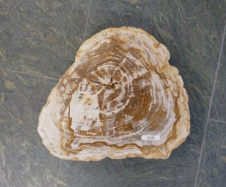  Vorschaubild G126-32903