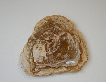  Vorschaubild G126-32903