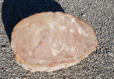  Vorschaubild G135-33292