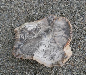  Vorschaubild G147-33301