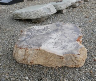  Vorschaubild G147-33301