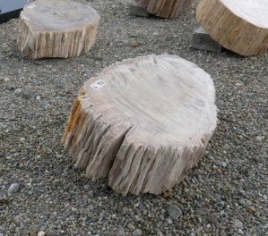  Vorschaubild G152-33306