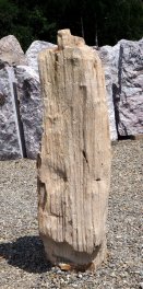  Vorschaubild G161-35301