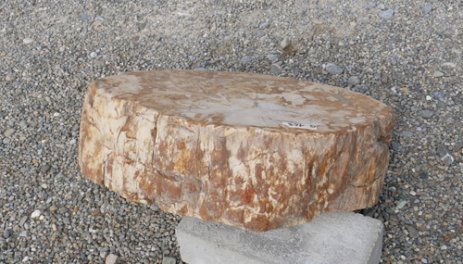  Vorschaubild G163-33454