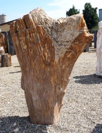  Vorschaubild G167-35304