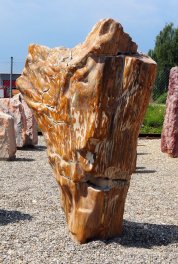  Vorschaubild G167-35304