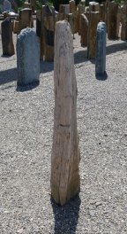  Vorschaubild G168-35154