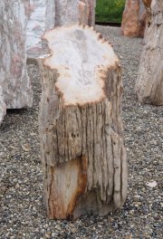  Vorschaubild G169-35303