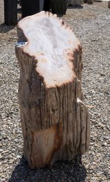  Vorschaubild G169-35303