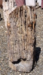  Vorschaubild G169-35303